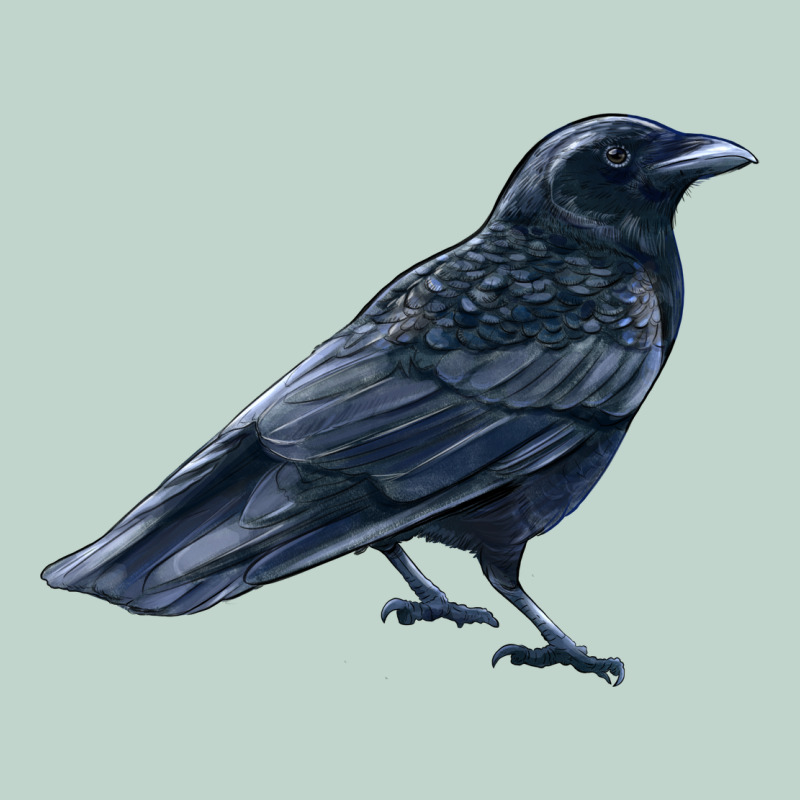 American Crow Zipper Hoodie by LillyAllenDesigns | Teevron