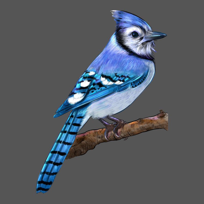 Blue Jay Bird Zipper Hoodie by LillyAllenDesigns | Teevron
