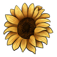 sunflower | Teevron