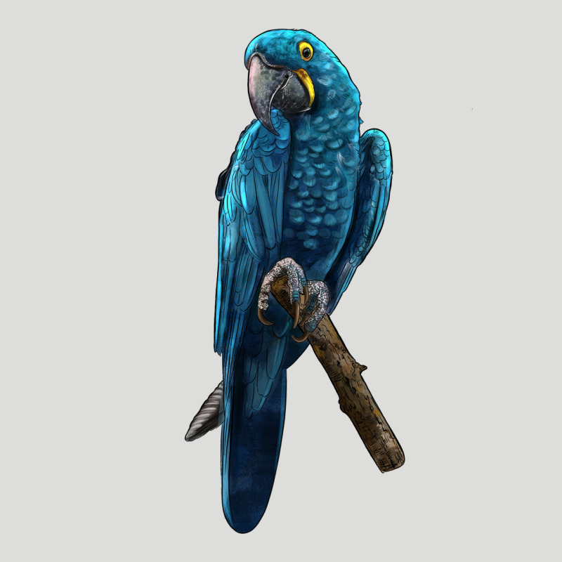 Hyacinth Macaw Zipper Hoodie by LillyAllenDesigns | Teevron