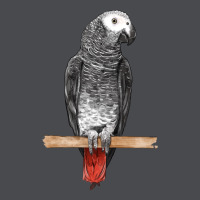 African Gray Parrot Bird Zipper Hoodie | Teevron