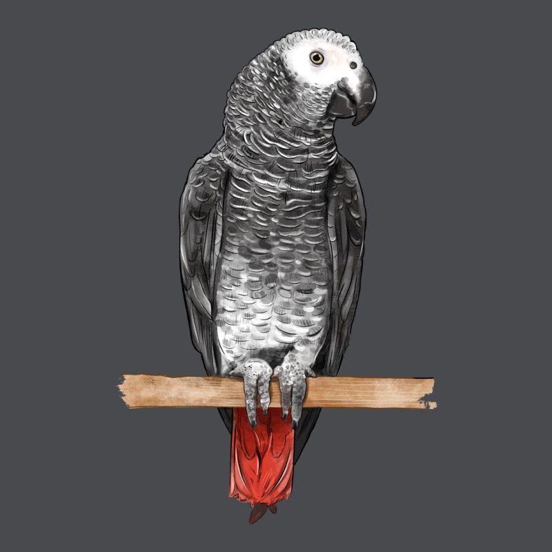 African Gray Parrot Bird Zipper Hoodie by LillyAllenDesigns | Teevron