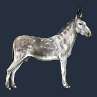 Andalusian Donkey Zipper Hoodie | Teevron