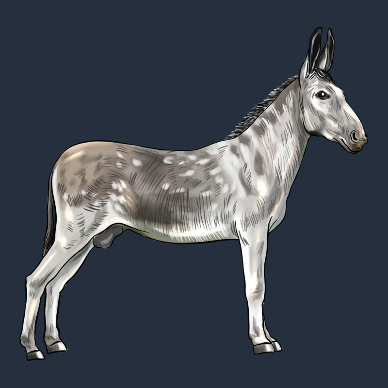 Andalusian Donkey Zipper Hoodie by LillyAllenDesigns | Teevron