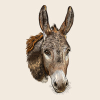Andalusian Donkey Face Zipper Hoodie | Teevron