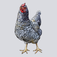 Dominique Chicken Zipper Hoodie | Teevron