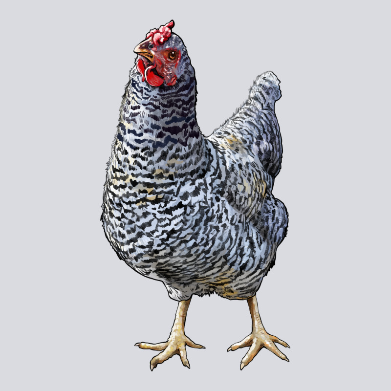 Dominique Chicken Zipper Hoodie by LillyAllenDesigns | Teevron