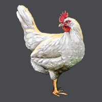Leghorn Chicken Zipper Hoodie | Teevron