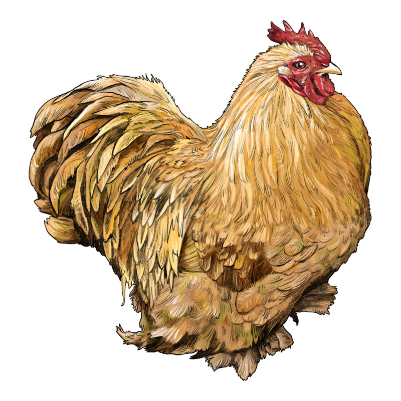 Cochin Rooster Zipper Hoodie by LillyAllenDesigns | Teevron