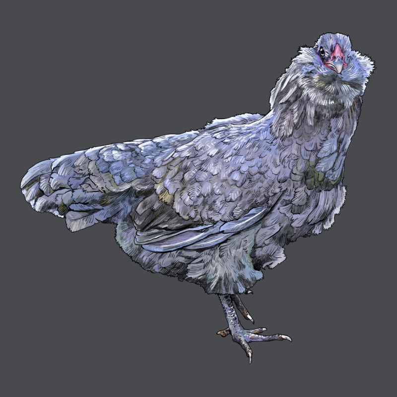 Ameraucana Chicken Zipper Hoodie by LillyAllenDesigns | Teevron