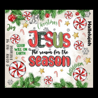 Christian Christmas  Jesus The Reason Premium Sweatshirt | Teevron