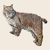 Bobcat Zipper Hoodie | Teevron