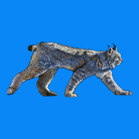 Canada Lynx Zipper Hoodie | Teevron