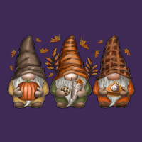 Fall Gnomes Premium Hoodie | Teevron