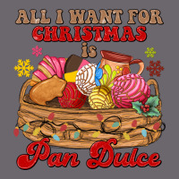 All I Want For Christmas Is Pan Dulce Premium Sweatshirt | Teevron