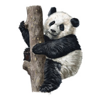 Giant Panda Zipper Hoodie | Teevron