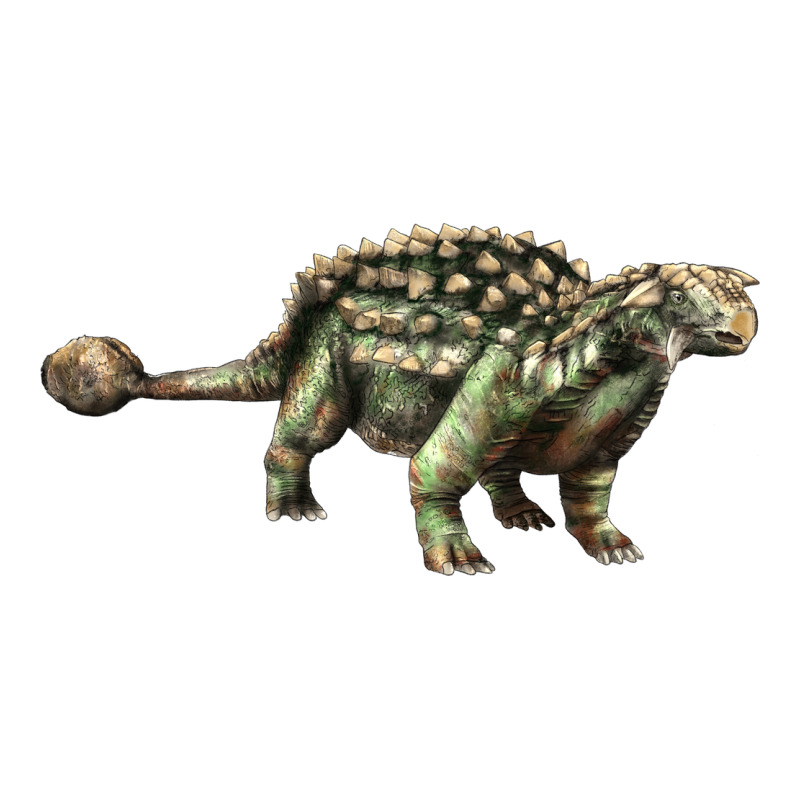 Ankylosaurus T-rex Zipper Hoodie by LillyAllenDesigns | Teevron