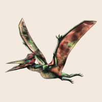 Pteranodon Zipper Hoodie | Teevron