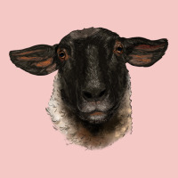 Suffolk Ewe Head Urban Heavy Tee | Teevron