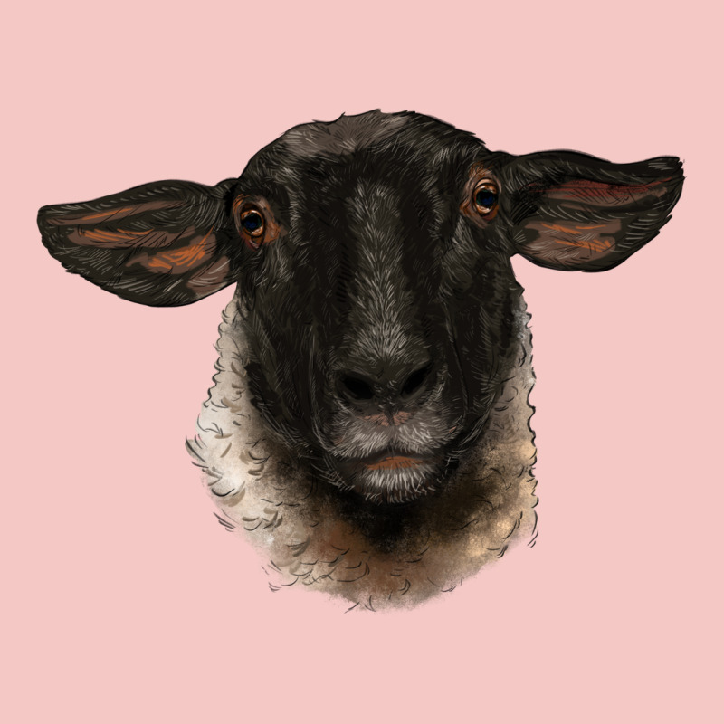 Suffolk Ewe Head Urban Heavy Tee by BarkalooDesign | Teevron
