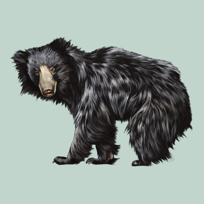 Sloth Bear Zipper Hoodie by LillyAllenDesigns | Teevron