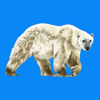 Polar Bear Zipper Hoodie | Teevron