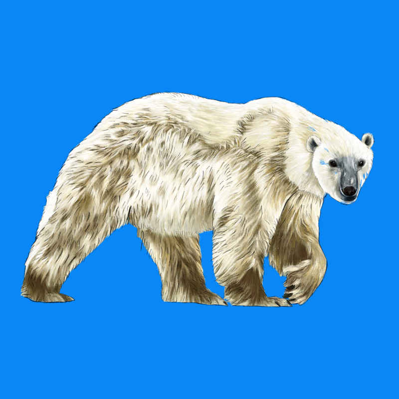 Polar Bear Zipper Hoodie by LillyAllenDesigns | Teevron
