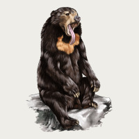 Malayan Sun Bear Zipper Hoodie | Teevron