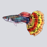 Guppy Fish Zipper Hoodie | Teevron