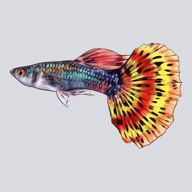 Guppy Fish Zipper Hoodie by LillyAllenDesigns | Teevron
