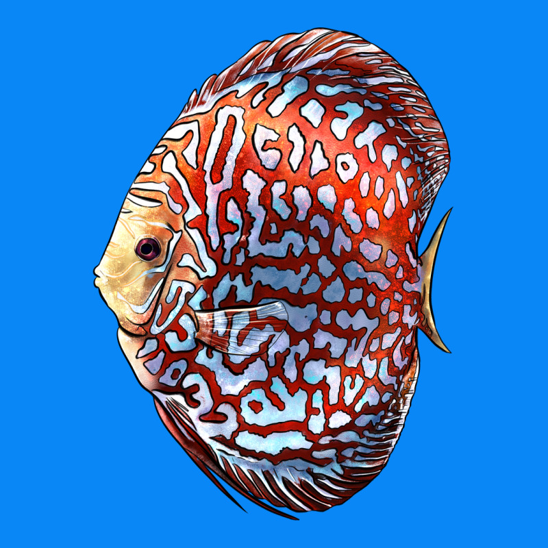 Discus Fish Zipper Hoodie by LillyAllenDesigns | Teevron