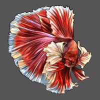 Betta Fish Zipper Hoodie | Teevron