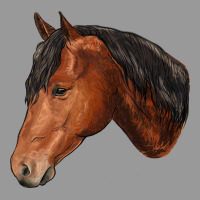 Horse Vintage Hoodie | Teevron
