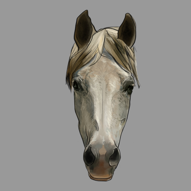 Horse Head Vintage Hoodie by RanaPortraitStore | Teevron