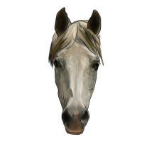 horse head | Teevron