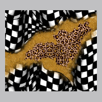 Racing Glitter Leopard Long Sleeve Tee | Teevron