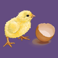 Chick With Egg Vintage Hoodie | Teevron