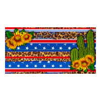 usa sunflower and cactus license plate | Teevron