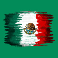 Mexican Flag Urban Hoodie | Teevron
