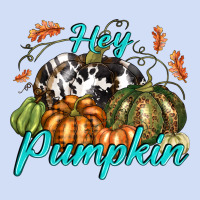 Hey Pumpkin Urban Hoodie | Teevron