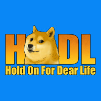 Hodl Hold On For Dear Life Dogecoin Zipper Hoodie | Teevron