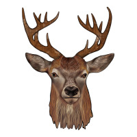 deer | Teevron