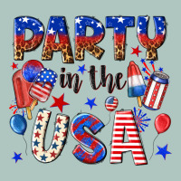 Party In The Usa Premium Sweatshirt | Teevron