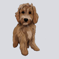 Maltipoo Zipper Hoodie | Teevron