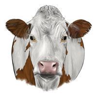 simmental | Teevron