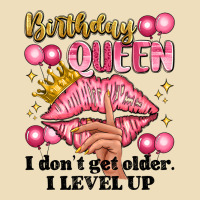 Birthday Queen I Dont Get Older I Level Up Premium Hoodie | Teevron
