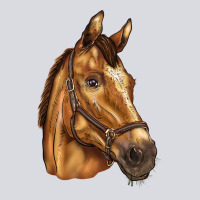 Horse Zipper Hoodie | Teevron
