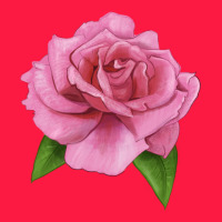 Perfume Delight Rose Zipper Hoodie | Teevron