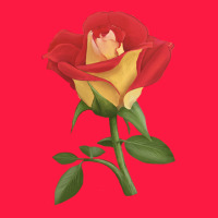 Ketchup And Mustard Rose Zipper Hoodie | Teevron