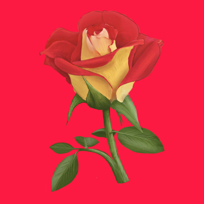 Ketchup And Mustard Rose Zipper Hoodie by LillyAllenDesigns | Teevron